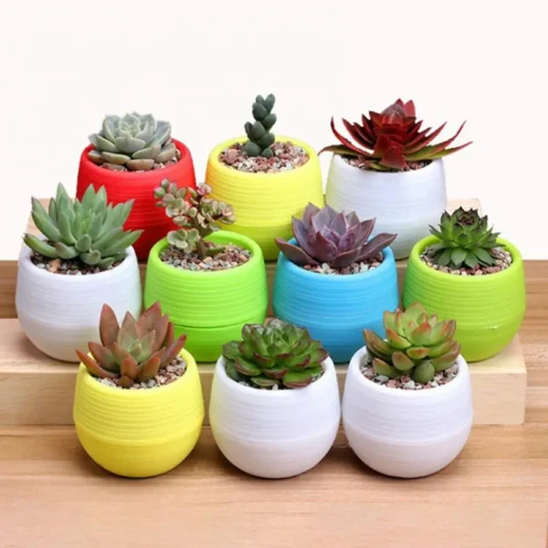 Plastic Drainage Hole Egg Shape Plant Pot Flowerpot Home Office Garden Decor - Image 3